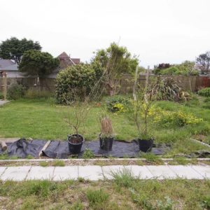 west_sussex_builders_0650