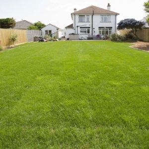 west_sussex_builders_0658
