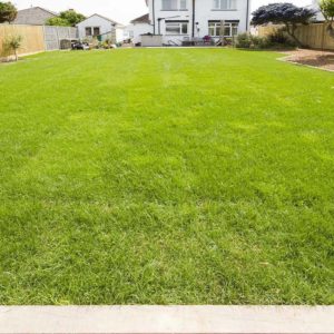 west_sussex_builders_0659