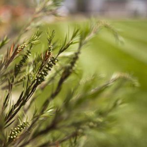 west_sussex_builders_0674