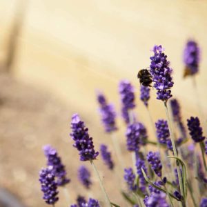 west_sussex_builders_0675