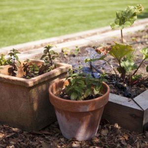 west_sussex_builders_0681