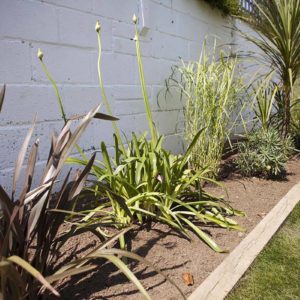 west_sussex_builders_0683