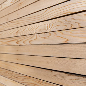 This close slatted cedar fencing is very modern and perfect for this space