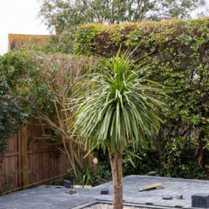 At insideout lifestyle we like to keep as many trees and large plants as possible and where possible build them into the design of the project