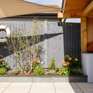 Shade sails are a fun way to create shade in the gardens. We trialled a few set-ups before deciding on the perfect placement.