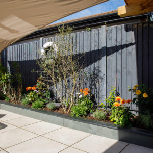 Dark fences make a great backdrop for flower borders