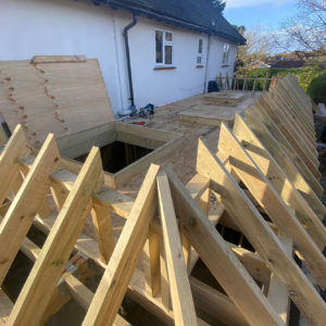 This is the new extension freshly built showing the roof lanterns