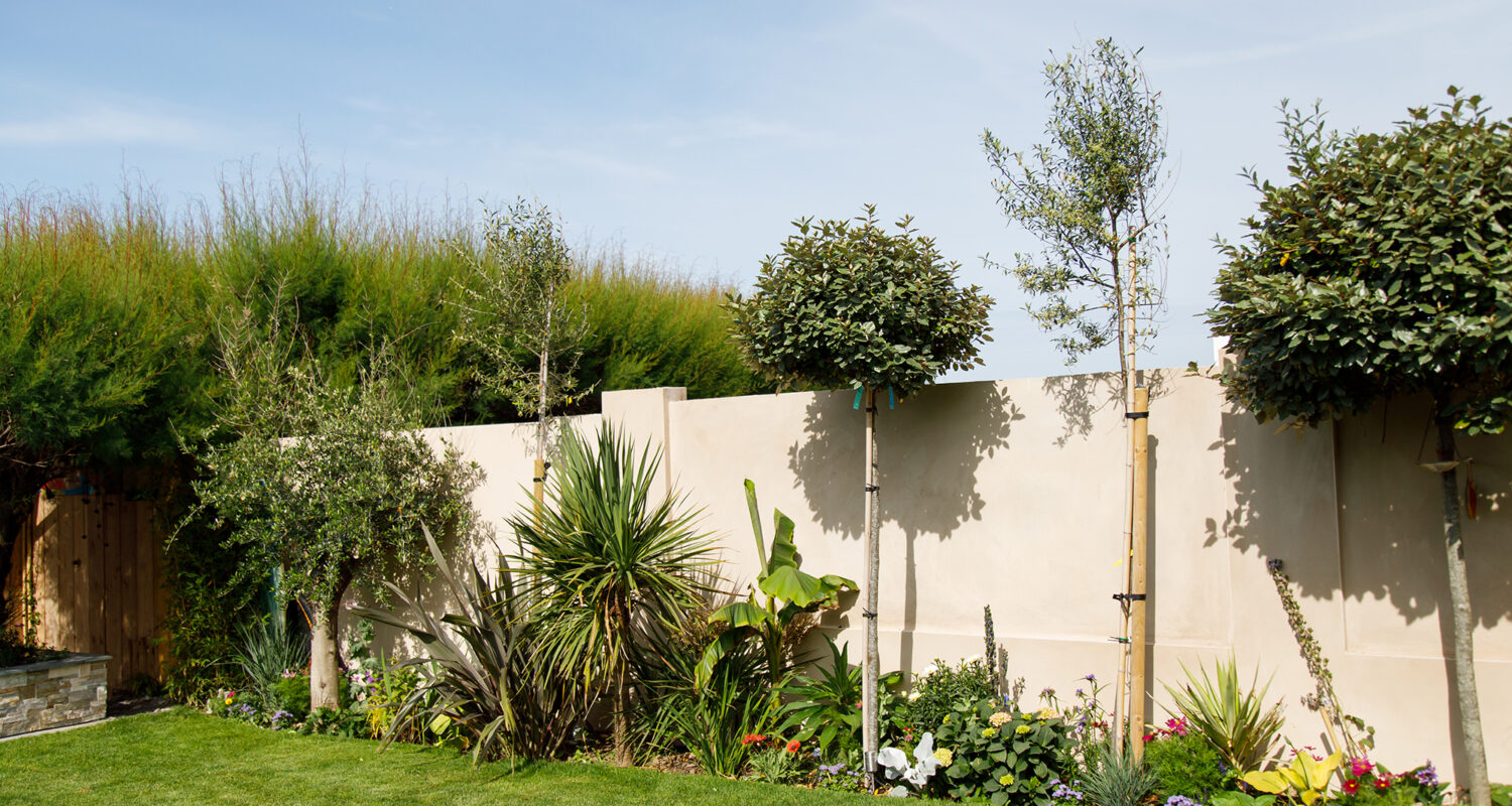 Planting in coastal areas can be tricky, however if you get the balance right then the large trees/plants will provide shelter to small more delicate varieties.