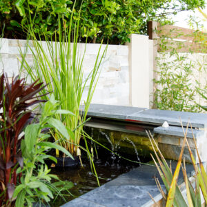 Small ponds and water features are really good for the overall garden ecosystem