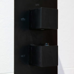 Modern black shower controls